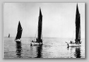 albatros_albert_jeppsen.jpg