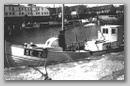 se20svaneke.jpg